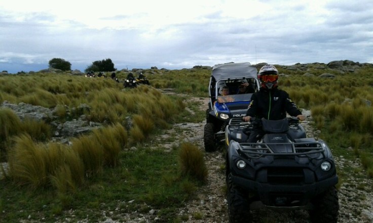 20141213_112854-800x480.jpg image