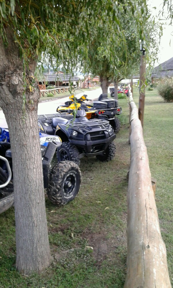 20141213_200003-600x1000.jpg image