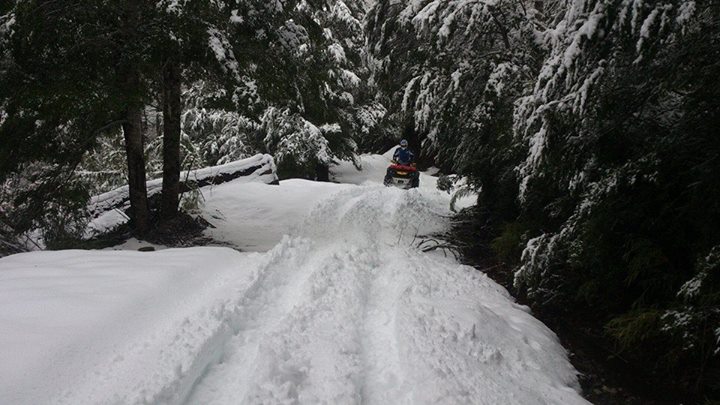 IMG_18607955794255.jpeg image