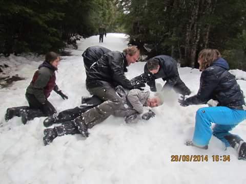 IMG_4330064875907.jpeg image