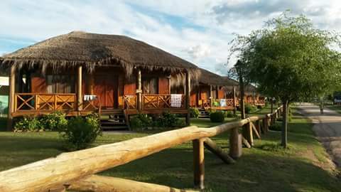 IMG_5161748466722.jpeg image