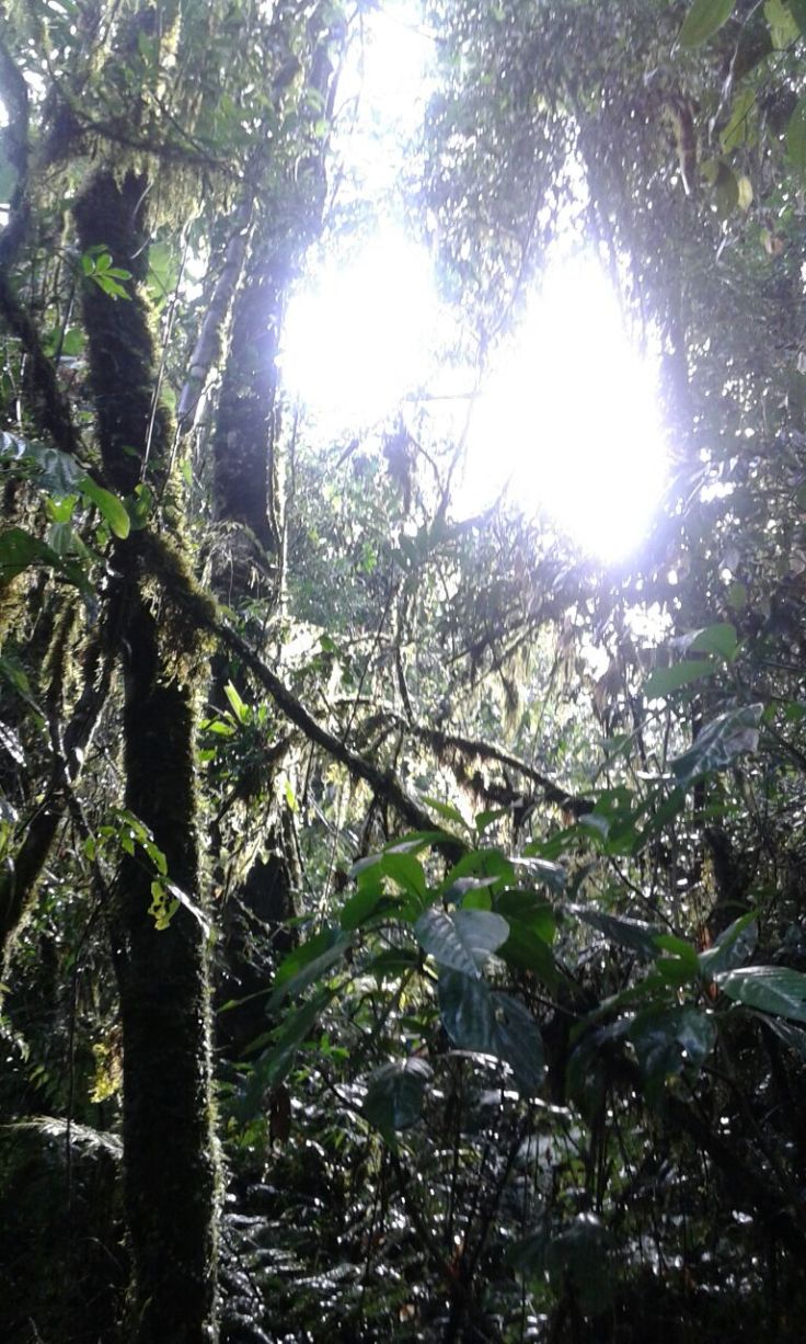 IMG-20151129-WA0000.jpg image