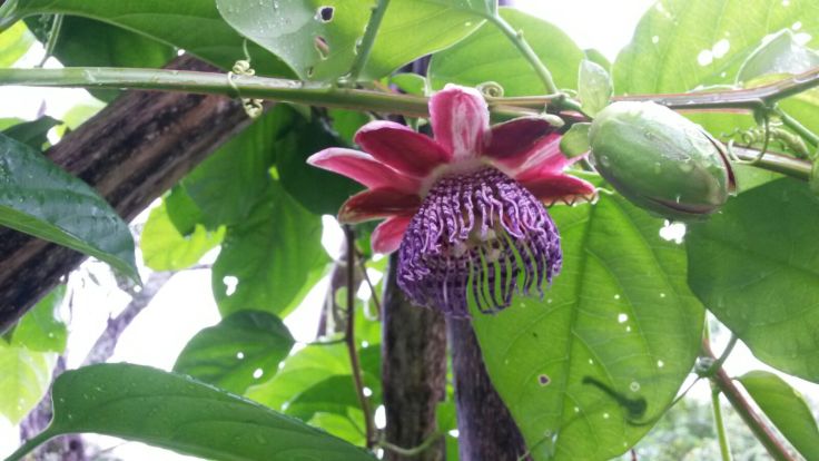 IMG-20151201-WA0008.jpg image