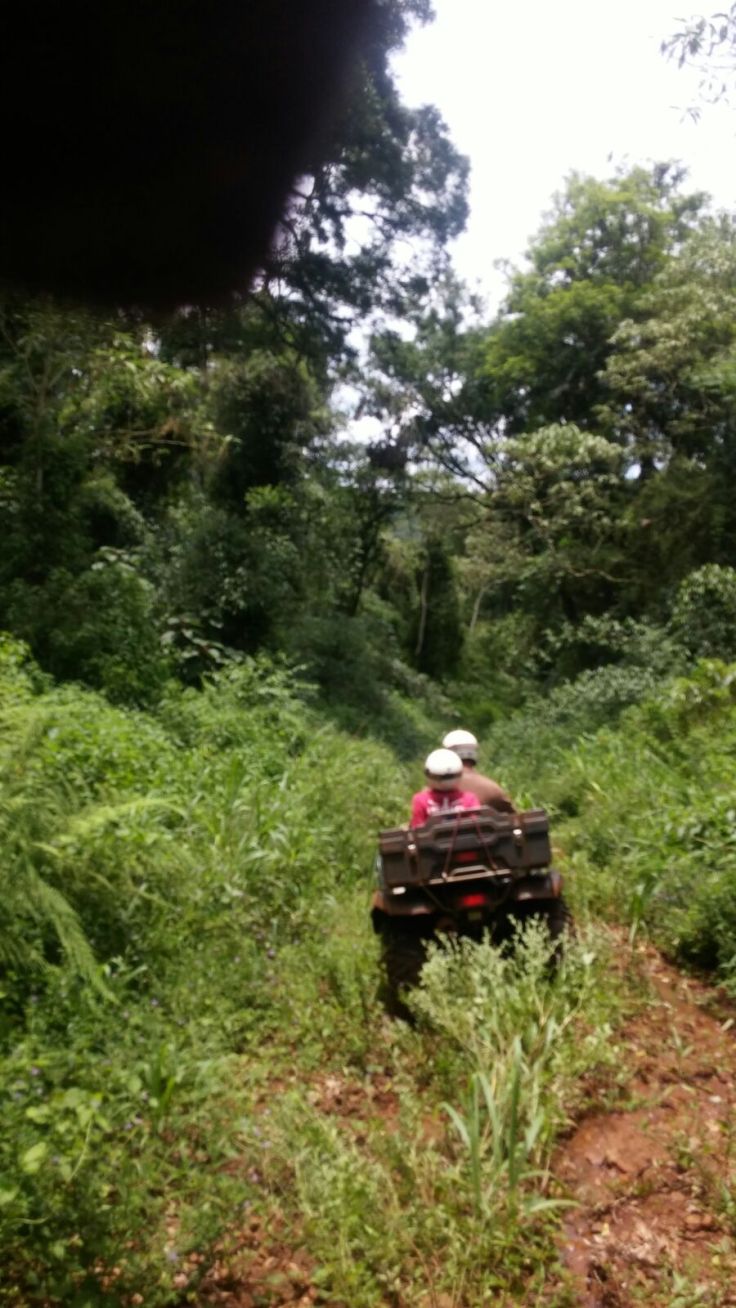 IMG-20151201-WA0068.jpg image