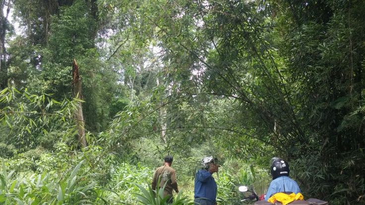 IMG-20151201-WA0069.jpg image