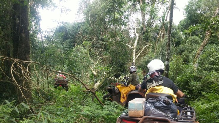 IMG-20151201-WA0090.jpg image